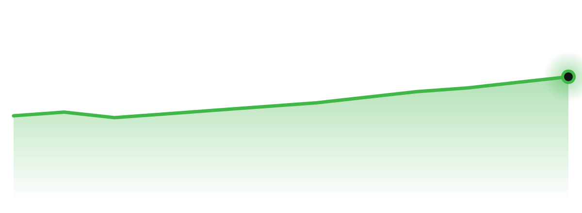Outback Steakhouse organic traffic trend
