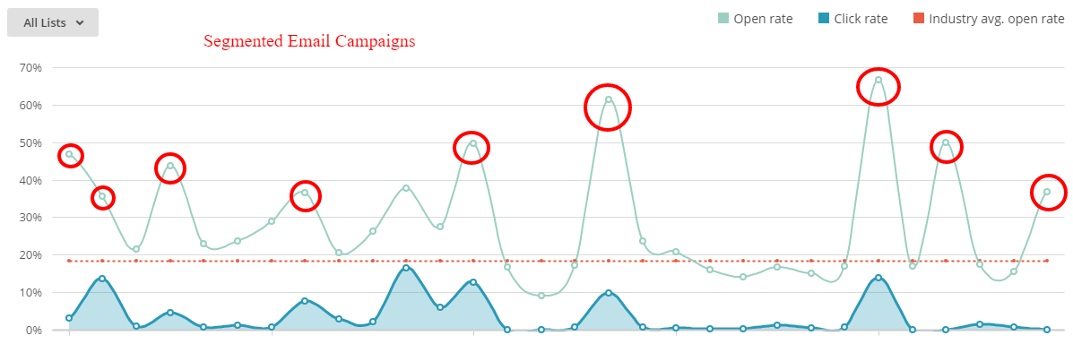 Segmented Email Campaigns