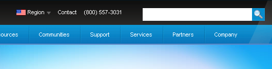 Revised Search Box